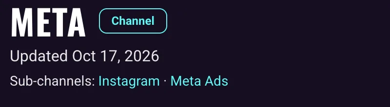 The Meta page title with its Sub-channels line linking to Instagram and Meta Ads